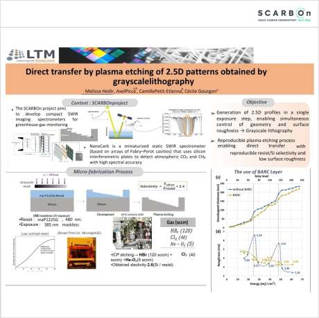 SCARBOn participation at the PESM 2026 workshop